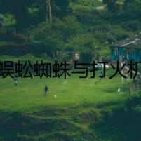 蜈蚣蜘蛛與打火機(jī)