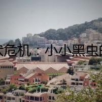 蜱伏危機(jī)：小小黑蟲的致命威脅