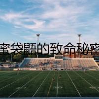 蜜袋鼯的致命秘密