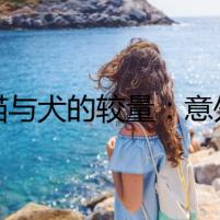 藪貓與犬的較量：意外的勝負(fù)