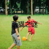 藪貓之謎