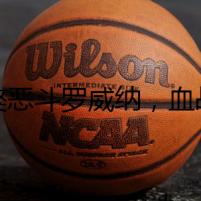 藏獒惡斗羅威納，血戰(zhàn)到底分高下