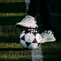 藏在書中的秘密