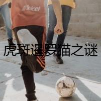 虎斑暹羅貓之謎