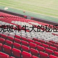 虎斑斗牛犬的秘密