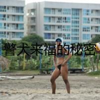 警犬來福的秘密