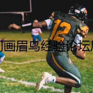 訪問畫眉鳥經(jīng)驗(yàn)論壇后，他收到了一封神秘郵件