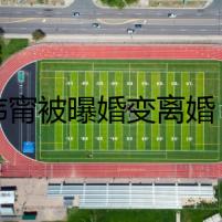 許瑋甯被曝婚變離婚 女星許瑋甯和劉又年是啥時候分手的