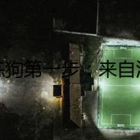 訓練狗第一步：來自深淵的呼喚