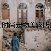 西安時(shí)尚寵物美容店的神秘事件