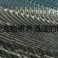 西安寵物寄養(yǎng)酒店的詭影