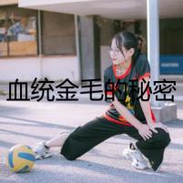 血統(tǒng)金毛的秘密