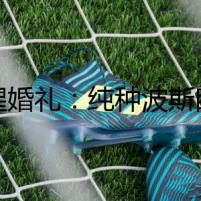血腥婚禮：純種波斯眼睛雙藍(lán)色