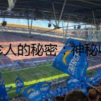 袖珍人的秘密：神秘收藏物
