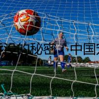 被吞沒的秘密：中國寵物網數據背后的懸疑