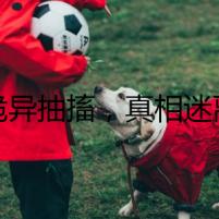 詭異抽搐，真相迷離