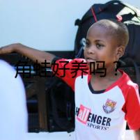 角蛙好養(yǎng)嗎？
