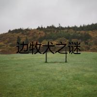 邊牧犬之謎