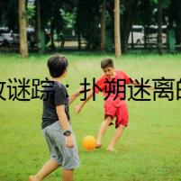 邊牧謎蹤：撲朔迷離的狗市暗流