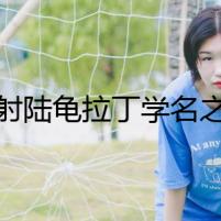 輻射陸龜拉丁學(xué)名之謎
