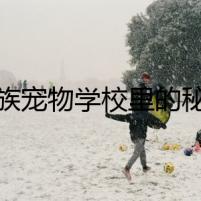 貴族寵物學(xué)校里的秘密