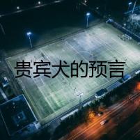 貴賓犬的預(yù)言
