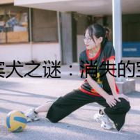 貴賓犬之謎：消失的寶石