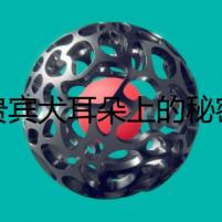 貴賓犬耳朵上的秘密