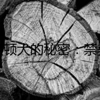 貝靈頓犬的秘密：禁養(yǎng)背后的黑暗