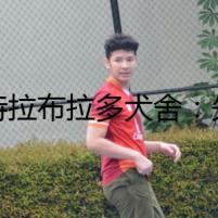 貝特拉布拉多犬舍：失蹤的犬主