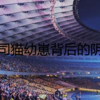 起司貓幼崽背后的陰謀
