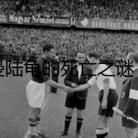 赫曼陸龜?shù)乃劳鲋i：難以解開的密碼