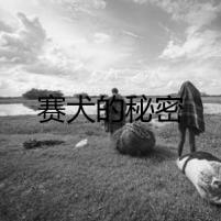 賽犬的秘密