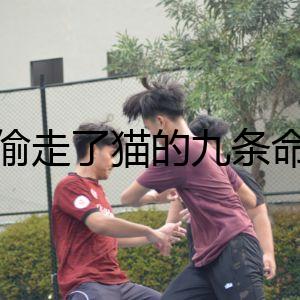 誰偷走了貓的九條命？