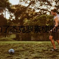 誰動(dòng)了杰克羅素梗的干酪？