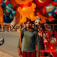 誰(shuí)是真兇？比高犬引發(fā)的血案