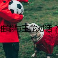 誰能與王蛇對話？