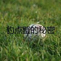 豹點蟹的秘密