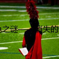 豹龜之謎——消失的幼龜