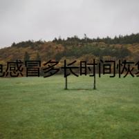 豹龜感冒多長時(shí)間恢復(fù)：一個(gè)懸疑靈異故事