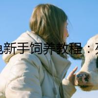 豹龜新手飼養(yǎng)教程：死亡預告