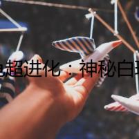 豹龜超進化：神秘白斑的背后
