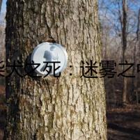 豆柴犬之死：迷霧之中的死亡