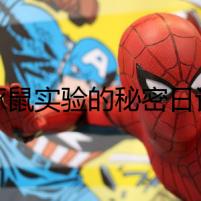 豚鼠實驗的秘密日記