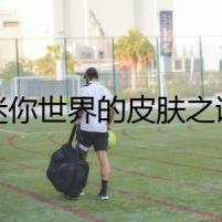 迷你世界的皮膚之謎