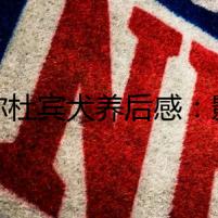 迷你杜賓犬養(yǎng)后感：影子