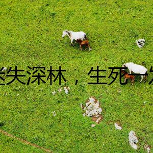 迷失深林，生死一發(fā)