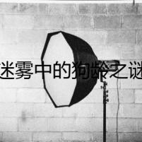 迷霧中的狗齡之謎