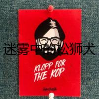 迷霧中的松獅犬