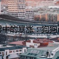 迷霧中的暴漲：狗狗幣的詭譎迷局